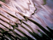 Ripples I